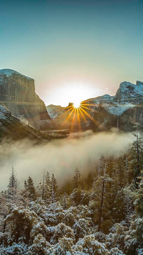 冬天,早晨,雾,树,雪,太阳光芒,山 iphone 壁纸