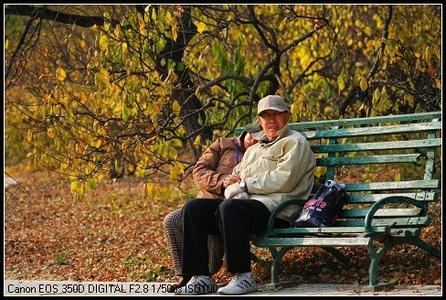 求一对老人在夕阳下坐在公园的椅子上的正面图片