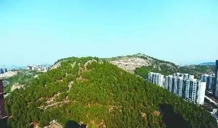 药山,位于济南市区西北部,海拔125米.