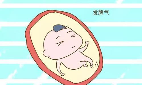 母亲睡觉 胎儿在肚子里做的坏事?