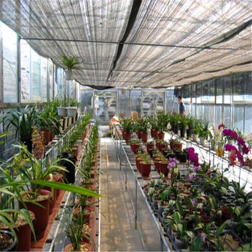 温室大棚/兰花温室/配置水帘风机降温