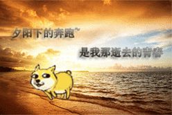 神烦狗表情包-gif喵