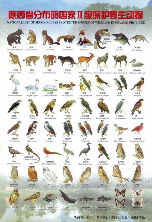 3月1日至10月31日 这些地方禁猎陆生野生动物!