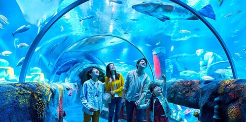 世界 新加坡sea-aquarium 新加坡海洋馆游玩时间 新加坡圣淘沙水族馆