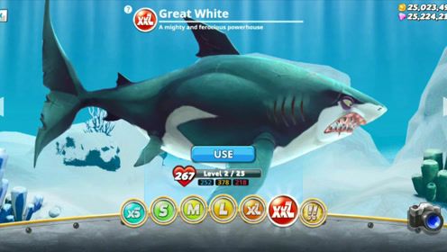 饥饿鲨进化巨齿鲨