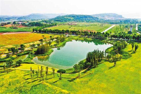 重庆广阳岛生态修复作业忙