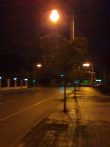 无论白昼黑夜,永不离弃.