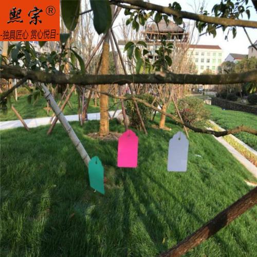 种植植物吊牌果园树牌捆绑卡片蔬菜花店树枝其它园艺用品