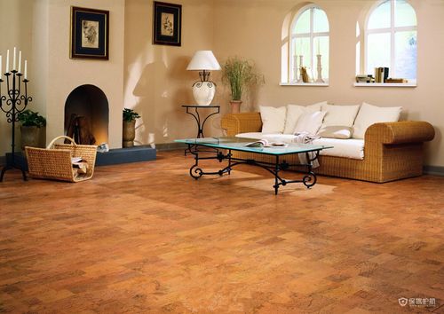 软木地板装修效果图-保驾护航装修网