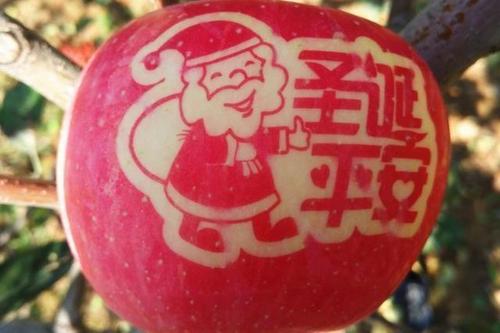 圣诞节没有苹果么?圣诞树有,篝火有,雪人也有!