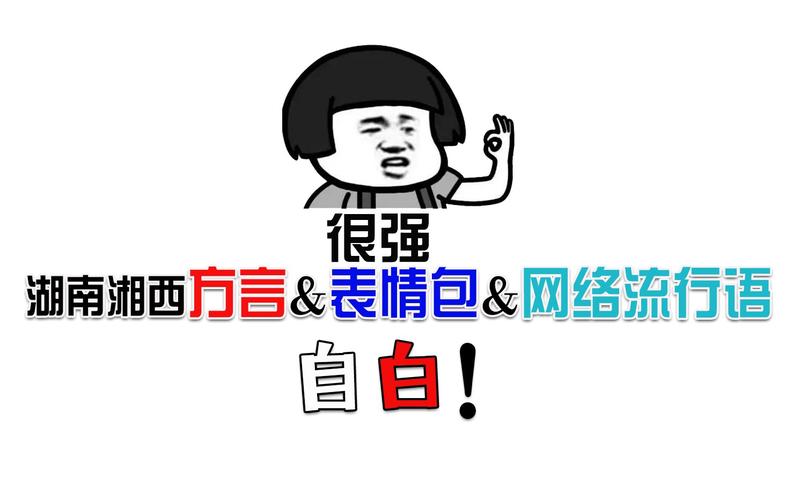 以湖南湘西某地方言,表情包,网络流行语来自白!bilibili好乡音
