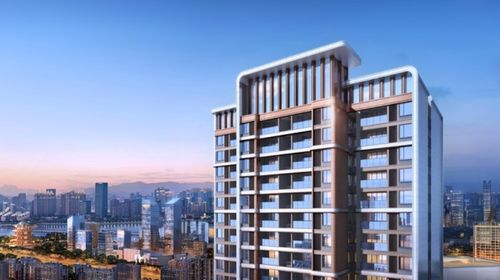 房市购买力高涨武汉人连夜看的楼盘有龙湖天玺