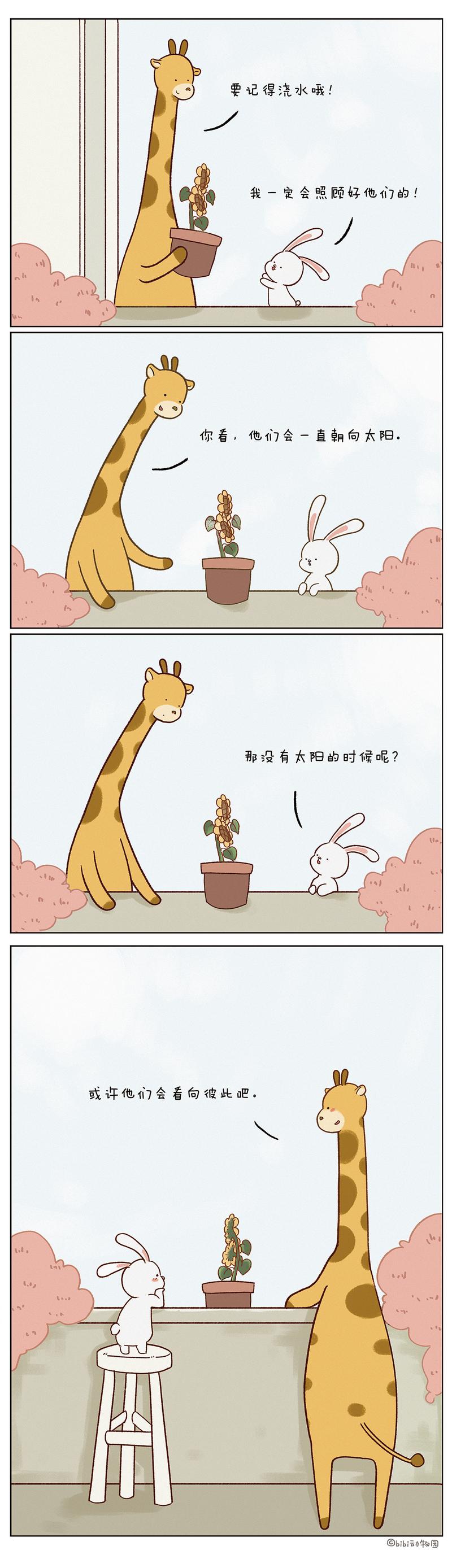 我们会向着彼此,对吧? #bibi动物园[超话]