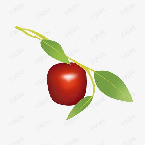 卡通大枣  大枣手绘  大枣食品