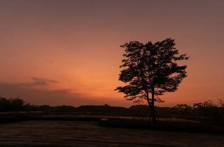 缺爱的人,终其一生都在找爱的途中