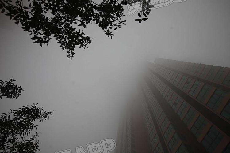 未来24小时,运城将出现大雾!务必注意安全