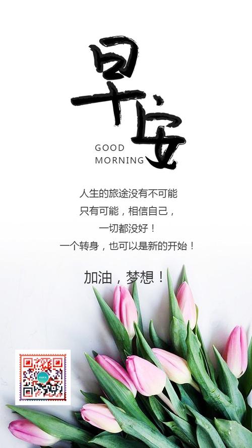 简约清新唯美早安问候励志宣传企业文化日签手机海报