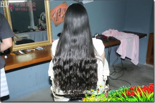 剪断长卷发剃个时尚bob-芳飞1167#_中国长发