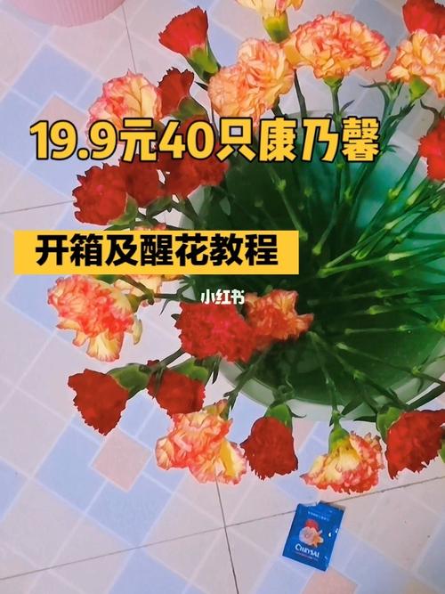 康乃馨开箱及醒花教程来了99_康乃馨_醒花_开箱_教程_鲜花_鲜花分享