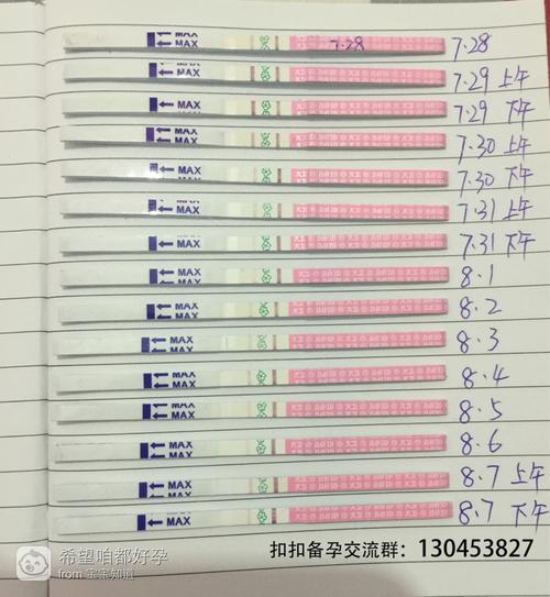 排卵试纸弱阳,早早孕白板