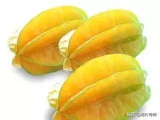 甜瓜musk melon李子plum沙果crab apple杨梅waxberry red bayberry