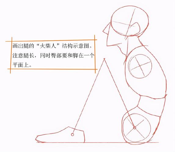 画出腿的"火柴人"结构示意图.注意腿长,同时臀部要和脚在一个平面上.