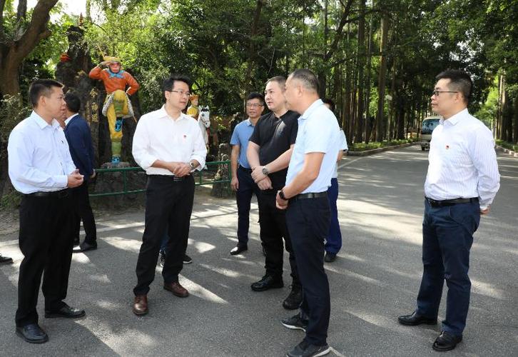 开平人注意!重阳将至,这件大事一定要做好!书记市长也