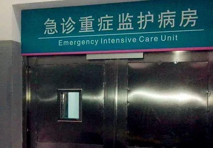 持续20分钟,小情侣在icu里做了这么一件事,看哭所有人
