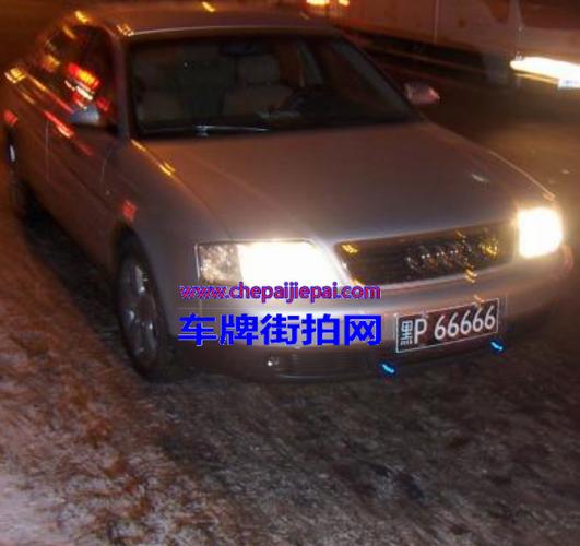黑p66666