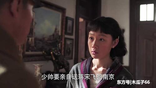 少帅:文章聪明,宋佳端庄,张歆怡清纯,柳岩风情万种