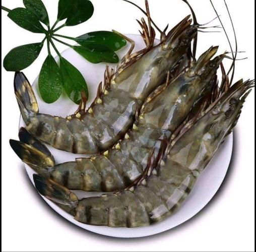 每盒净重1斤5条大鬼虾新鲜急海捕大老虎虾九节虾大草虾斑节虾