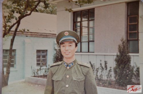入伍通知书和老照片