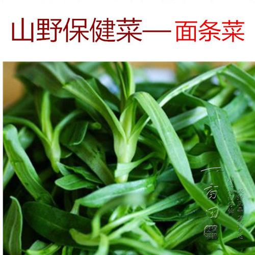 美味阳台浓郁面条野菜盆栽野味种子