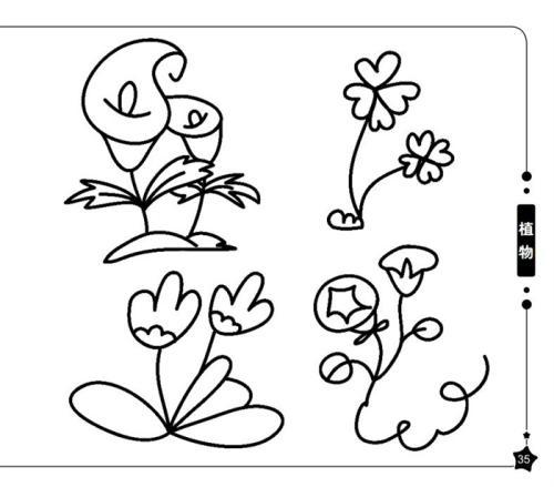 动物植物简笔画场景图