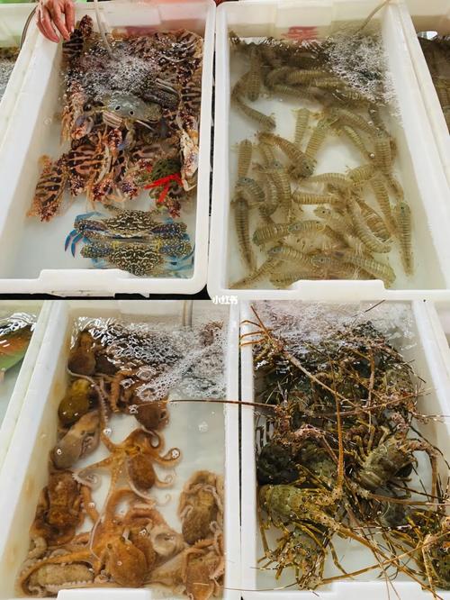 海南陵水 最新鲜的海鲜去哪吃_海南_海鲜_陵水黎族自治县自由行热门