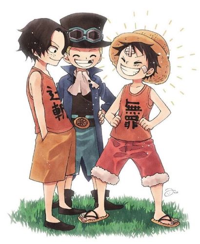 海贼王路飞索隆山治艾斯娜美罗宾弗兰奇萨博罗乔巴布鲁克乌索普