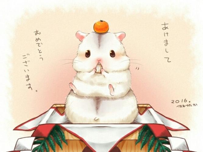 萌物小仓鼠 - 堆糖,美图壁纸兴趣社区