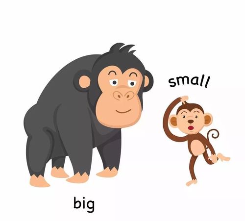 2019第六届国际戏剧演出季预告丨大和小的故事开票