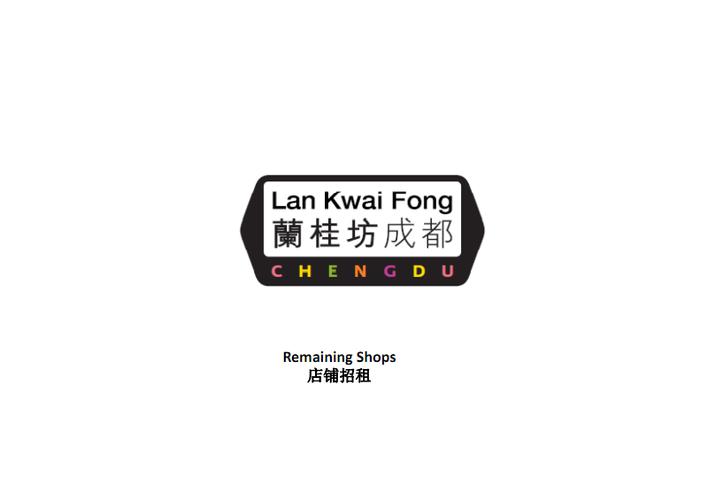 成都兰桂坊介绍pdf19页