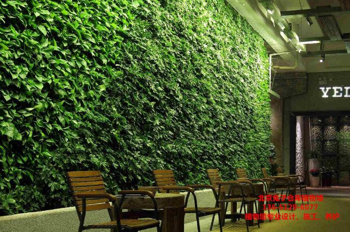 室内绿萝绿植墙效果图