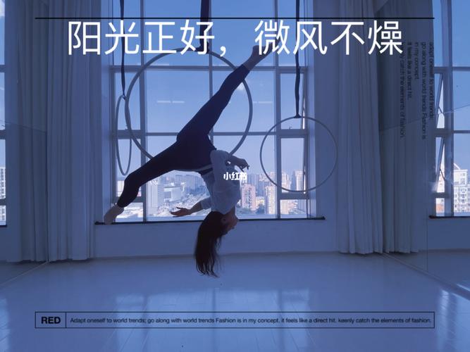 空中吊环_舞蹈_空中舞蹈_娱乐_舞蹈_舞蹈表演/翻跳