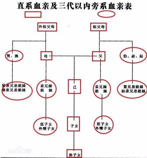 什么是第四代旁系血亲关系?