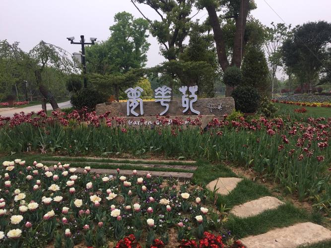第九干休所春游(一)溧水梦华苑 遇园2019.4.14