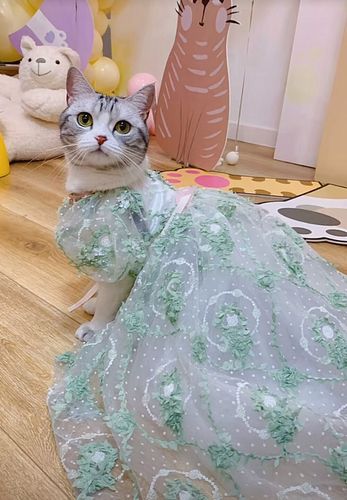 王泡芙三岁生日照片