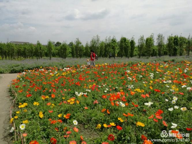 郫县唐昌镇外文三路(郫县三中)对面,有个叫"花田人家"的农家乐,面积