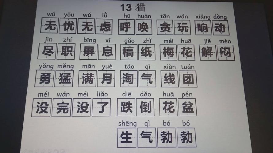13猫词语学习带拼音部编小学语文四年级下册