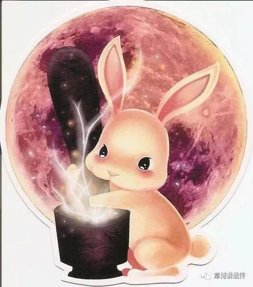 中秋节,看玉兔,讲讲兔唇的遗传