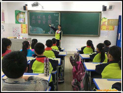 汉滨区鼓楼小学开展"关怀生命,共享家园"主题班会活动