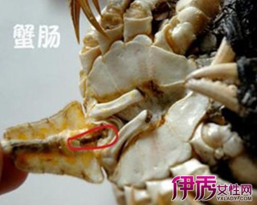【图】梭子蟹怎么去内脏才干净 烹饪大全尽在这里
