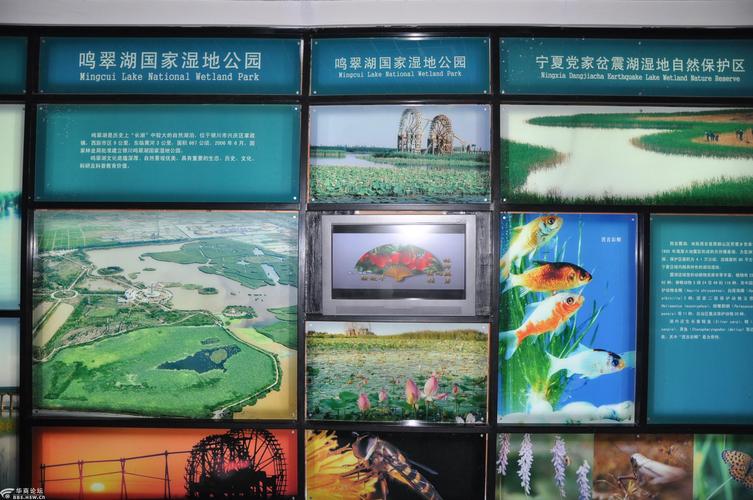 宁夏湿地博物馆参观记